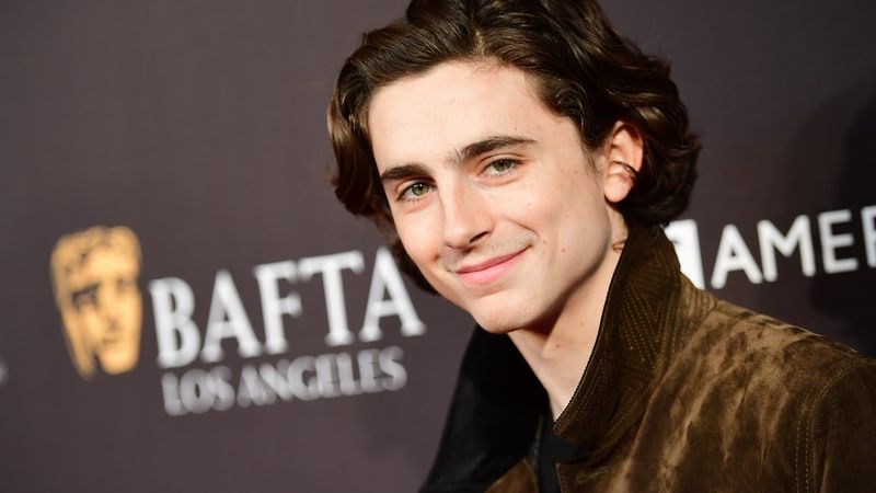 Dos Proximas Peliculas Para Seguir La Carrera De Timothee Chalamet